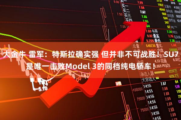 大金牛 雷军:特斯拉确实强 但并非不可战胜!SU7是唯一击败Model 3的同档纯电轿车!