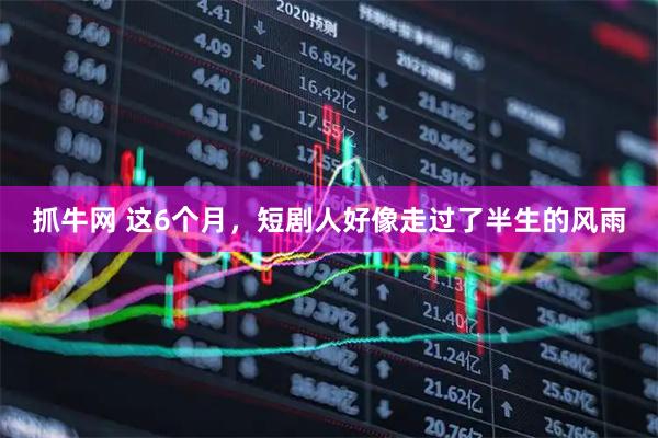 抓牛网 这6个月，短剧人好像走过了半生的风雨
